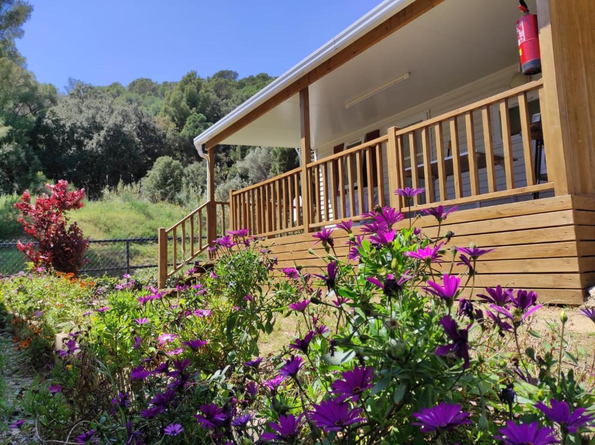 Camping Roca Grossa กาเลญา ภายนอก รูปภาพ