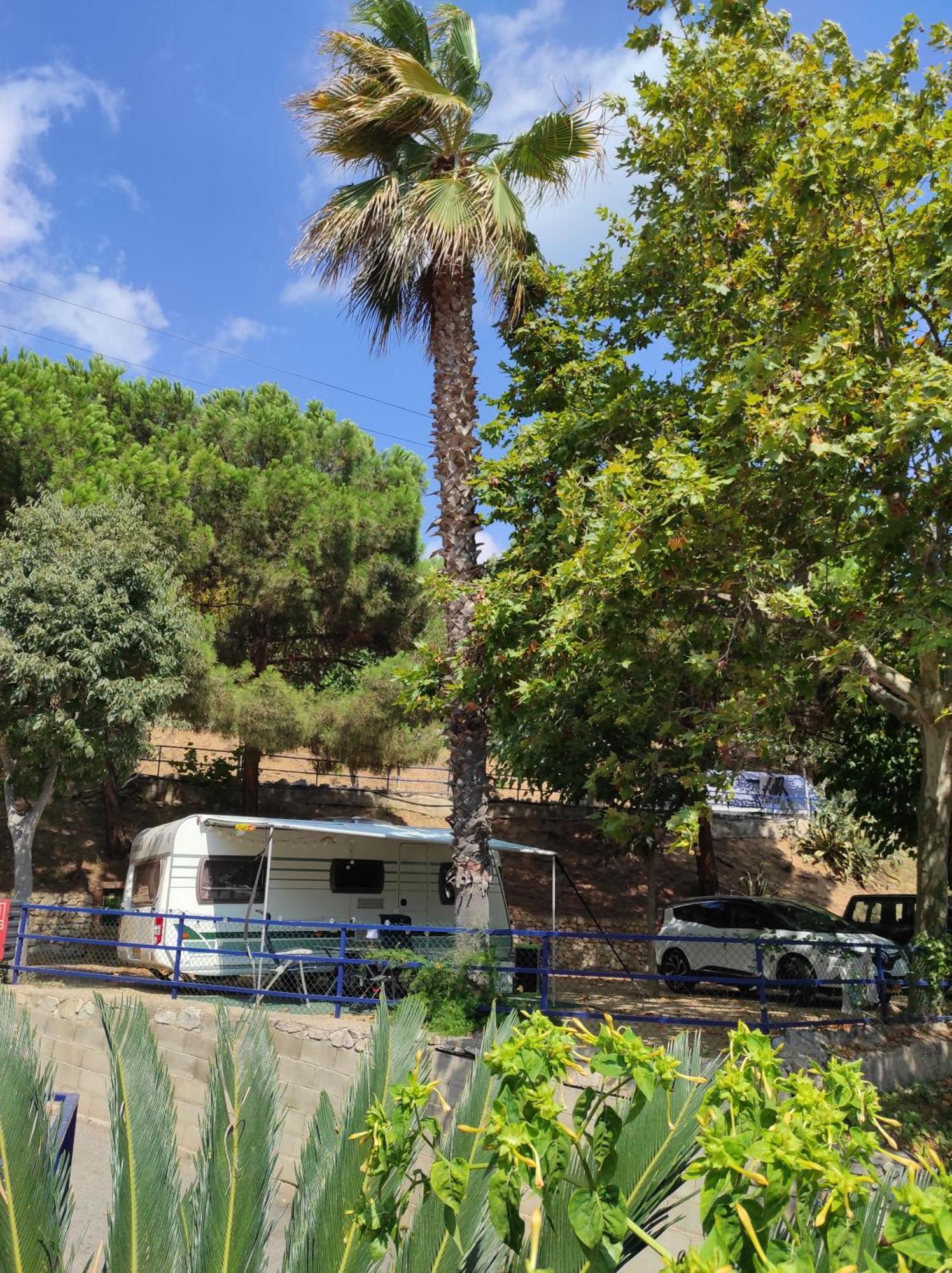 Camping Roca Grossa กาเลญา ภายนอก รูปภาพ