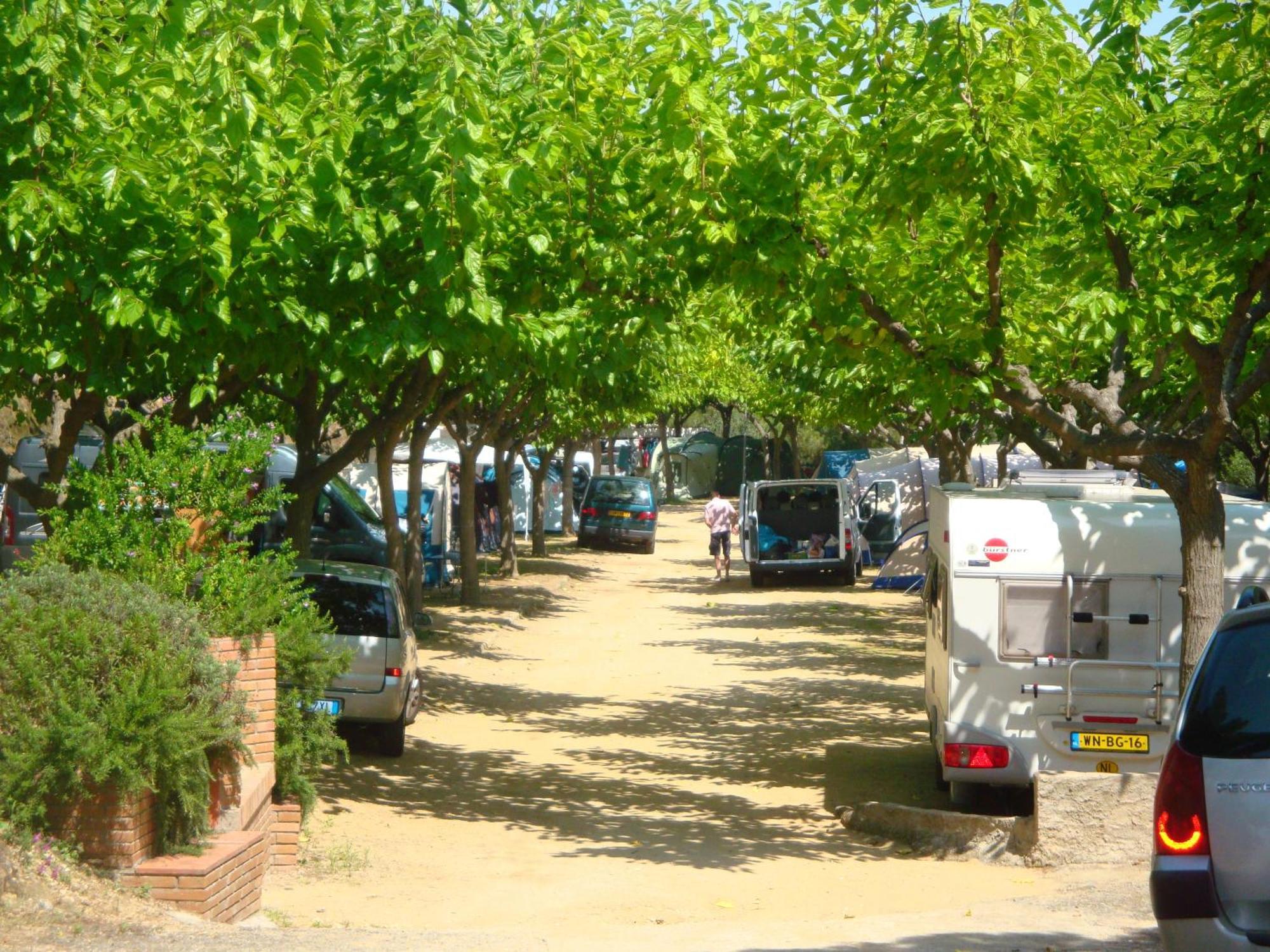 Camping Roca Grossa กาเลญา ภายนอก รูปภาพ